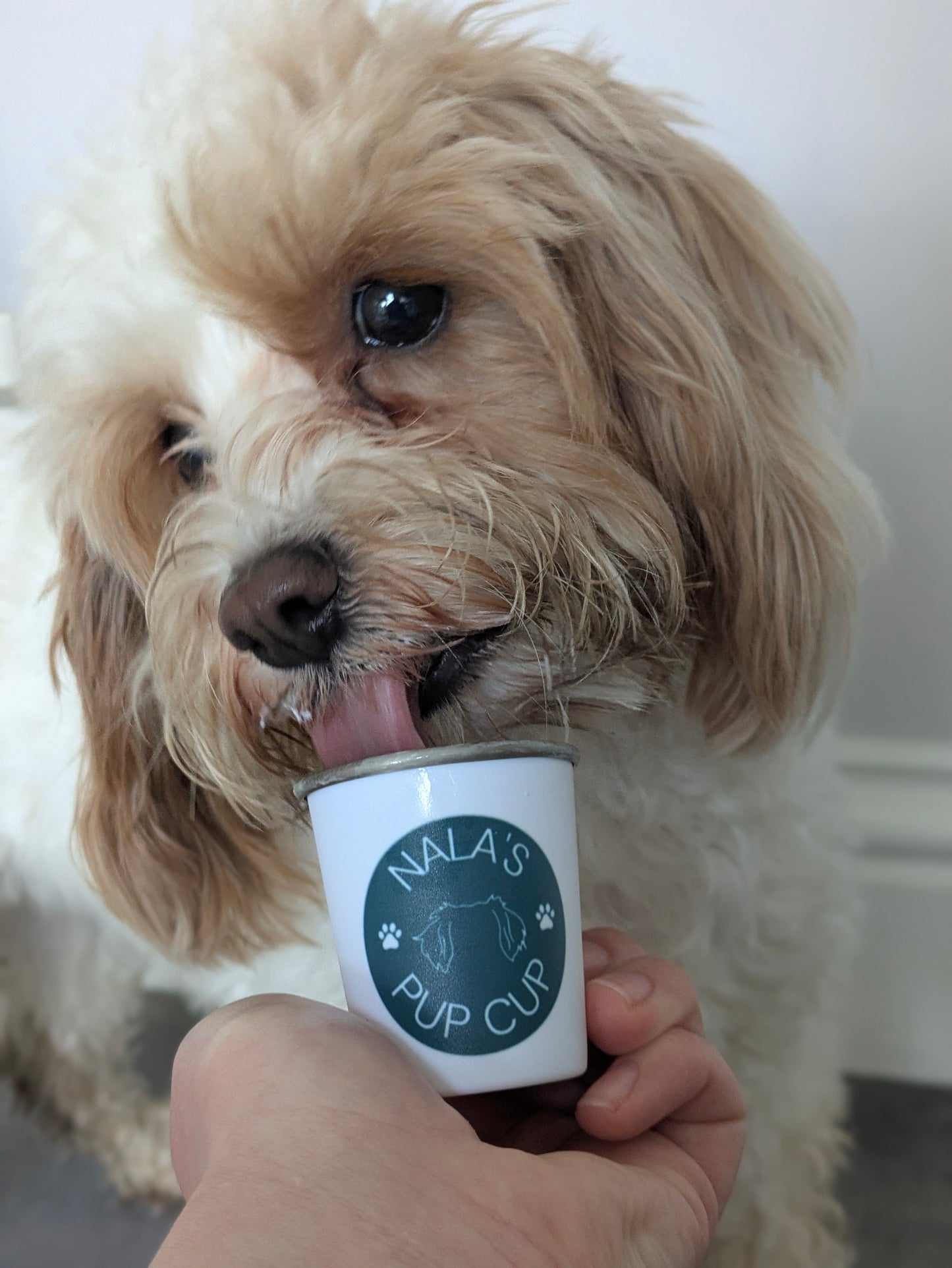 Personalised Pup Cups