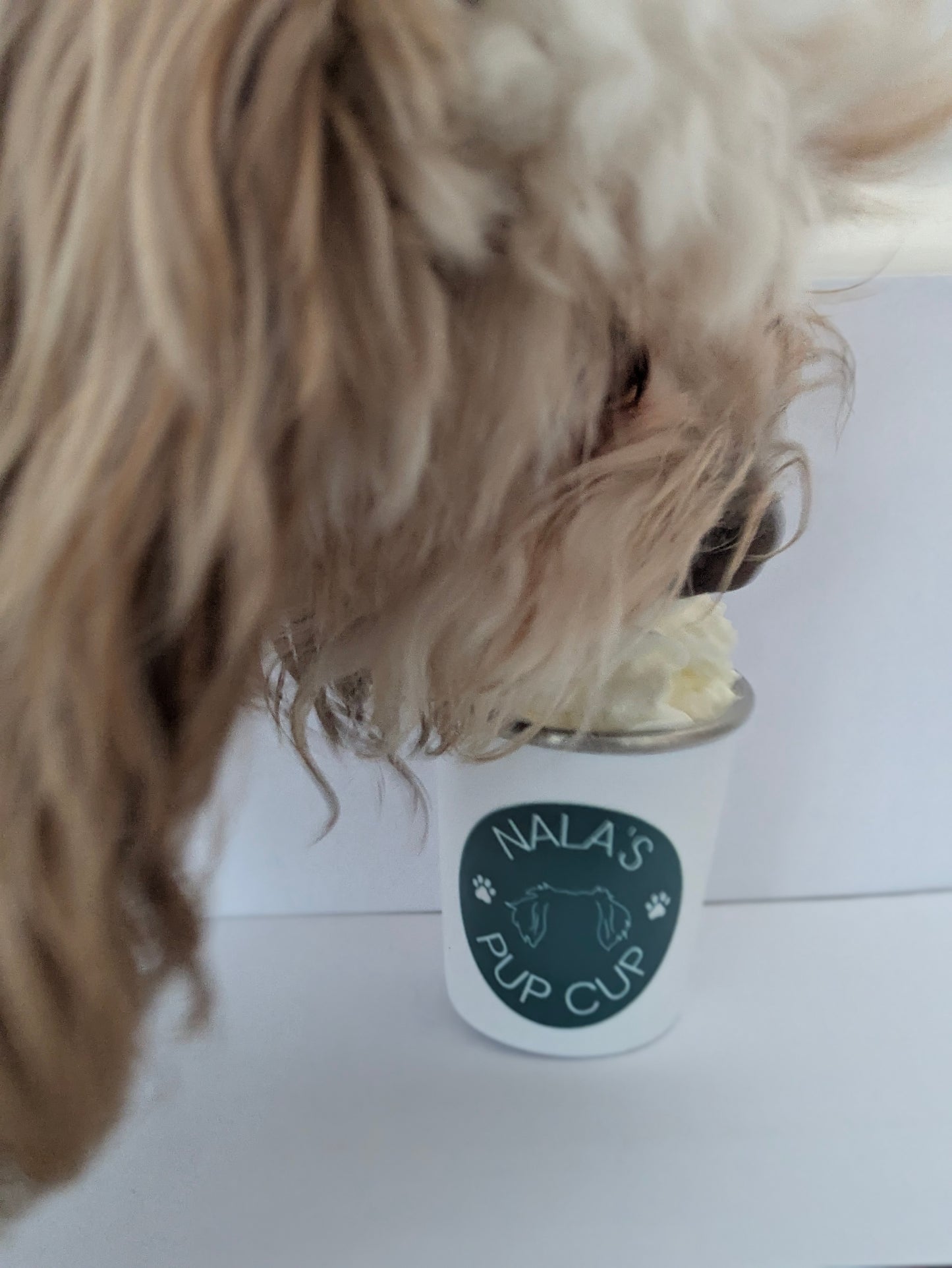 Personalised Pup Cups