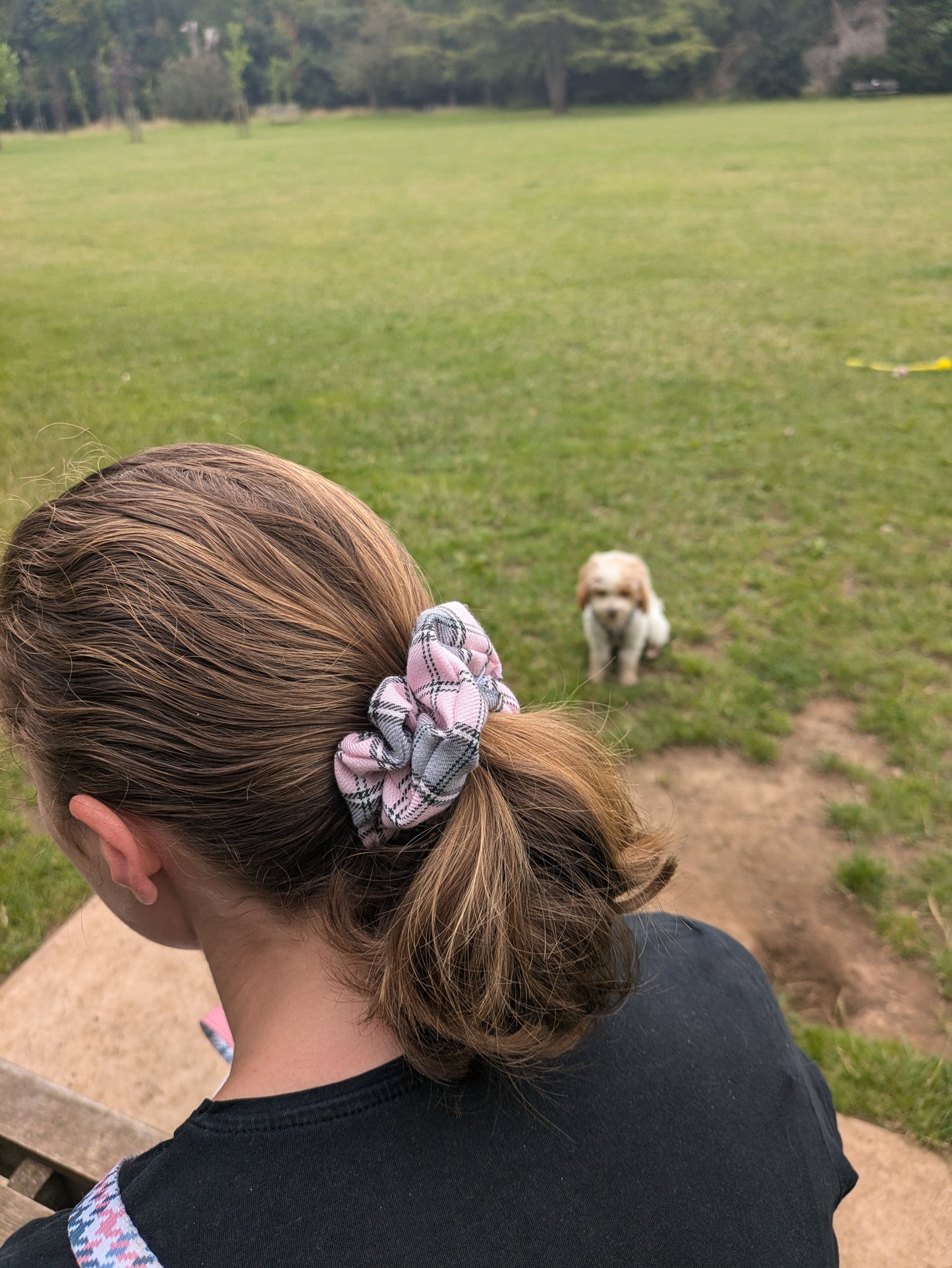 Matching Scrunchies