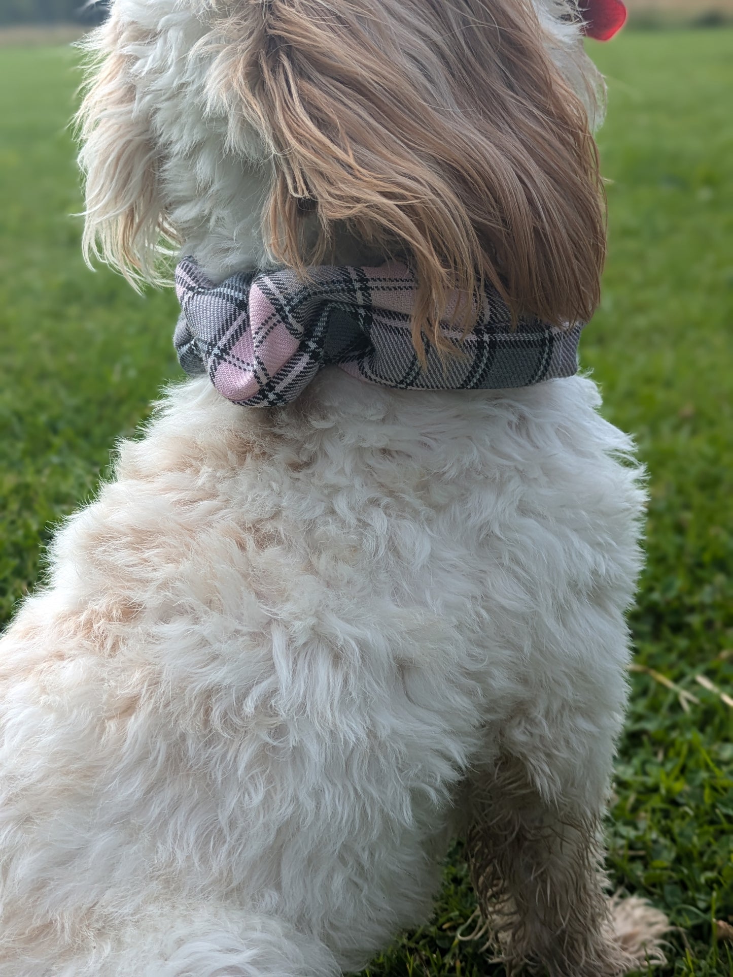 Scrunchie Collar Covers