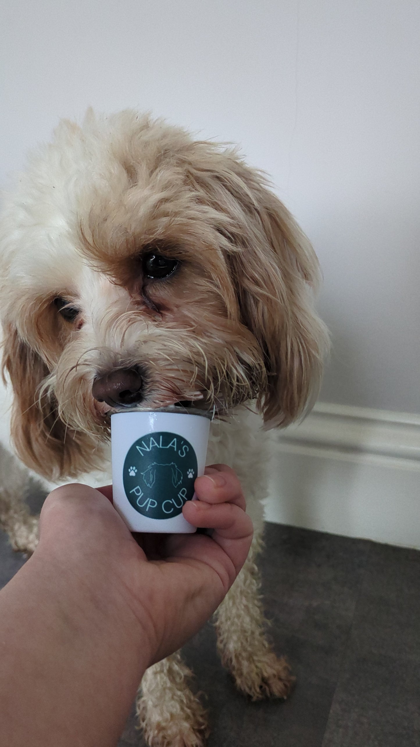 Personalised Pup Cups